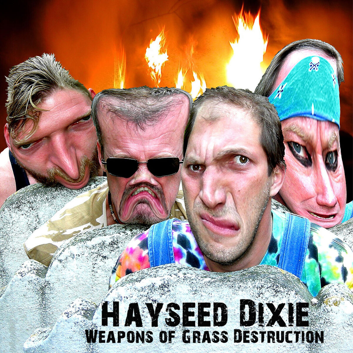 Hayseed Dixie
